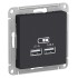 ATLASDESIGN USB РОЗЕТКА, 5В, 1 порт x 2,1 А, 2 порта х 1,05 А, механизм, КАРБОН, ATN001033